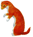 HWScan00320 копия