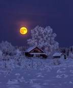 https://avatars.mds.yandex.net/i?id=58b6b858a17f977cd5e4f3eeffdc9d7e6bde0155-5313292-images-thumbs&n=13
