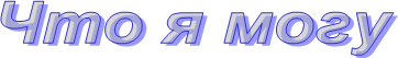 Что я могу