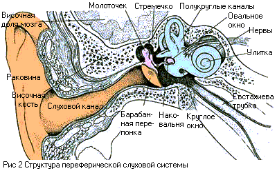 Основы психоакустики (Интересные особенности психоакустики)