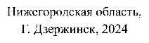 Нижегородская область,
Г. Дзержинск, 2024
