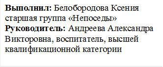 Выполнил: Белобородова Ксения
старшая группа «Непоседы»
Руководитель: Андреева Александра Викторовна, воспитатель, высшей квалификационной категории
