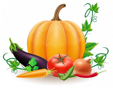 https://img.freepik.com/premium-vector/pumpkin-autumn-harvest-vegetables-vector-illustration_110233-1197.jpg?w=2000