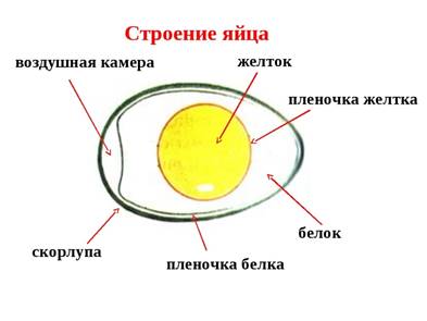 hello_html_4ab362a5.jpg