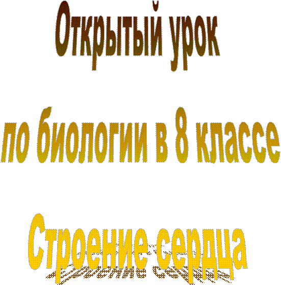 Открытый урок
 по биологии в 8 классе
Строение сердца