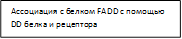 Ассоциация с белком FADD с помощью DD белка и рецептора