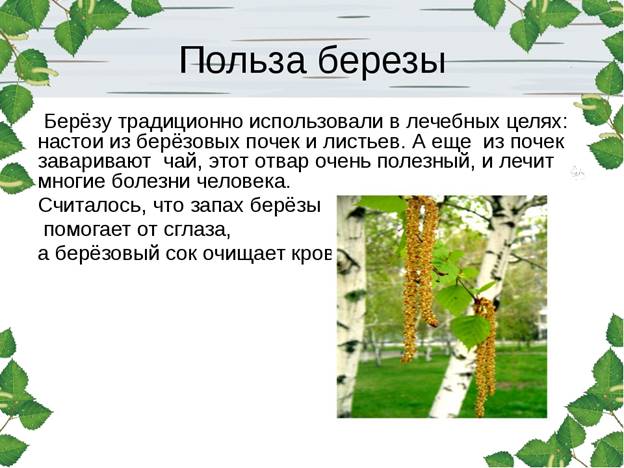 https://ds02.infourok.ru/uploads/ex/01a7/0007682e-d39a46dd/img4.jpg