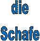 die 
Schafe 