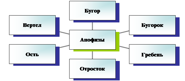 Радиальная диаграмма