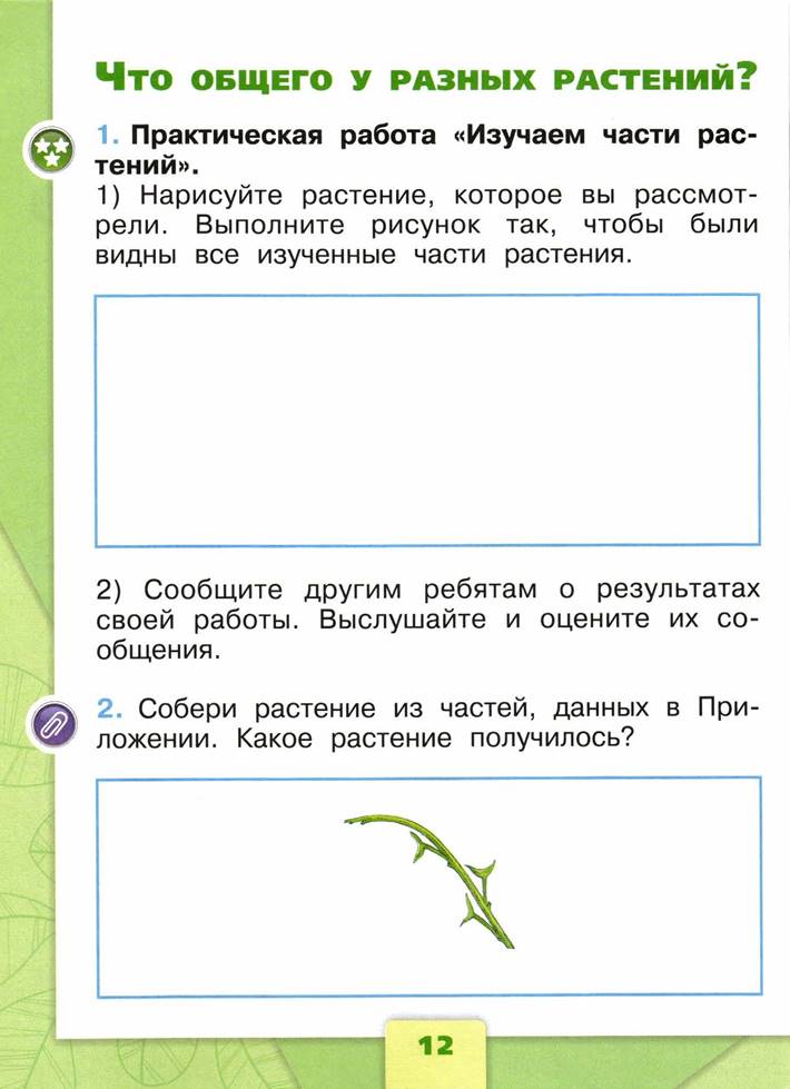 Практическая работа изучаем. Что общего у разных растений. Практическое задание изучаем части растения. Изучаем части растений 1 класс. Практическая работа изучаем части растений.