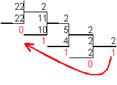 ris15