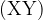 \rm (XY)