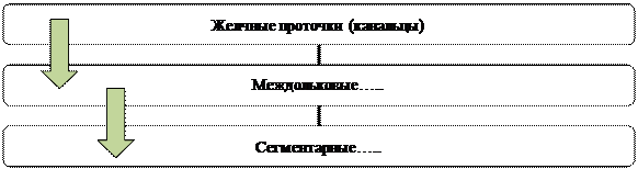 Организационная диаграмма