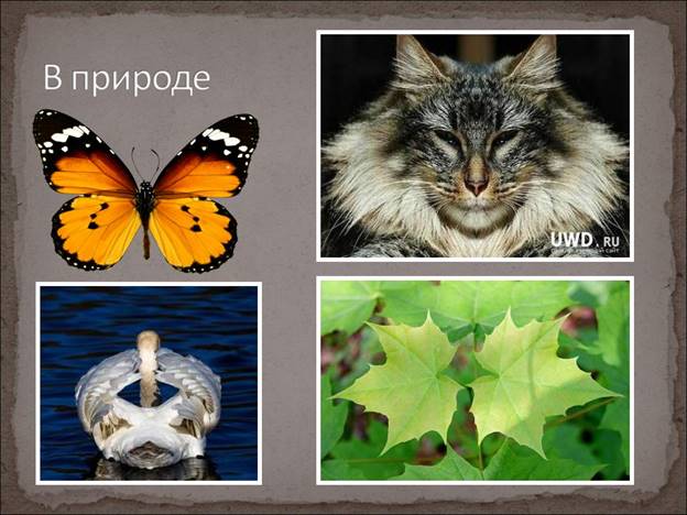 http://festival.1september.ru/articles/641633/presentation/14.JPG