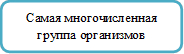 Самая многочисленная группа организмов