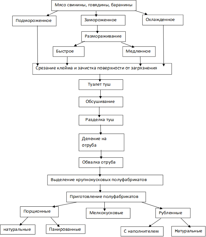 Мясо свинины, говядины, баранины,Подмороженное,Замороженное,Охлажденное,Размораживание,Быстрое,Медленное,Срезание клейма и зачистка поверхности от загрязнения,     Туалет туш,   Обсушивание,   Разделка туш,Деление на отруба,Обвалка отруба,Выделение крупнокусковых полуфабрикатов,Приготовление полуфабрикатов,Порционные,Мелкокусковые,Рубленные,натуральные,Панированные,С наполнителем,Натуральные