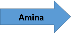 Amina