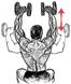 http://gymlex.com/images/stories/Delts/dshoulder-press.jpg