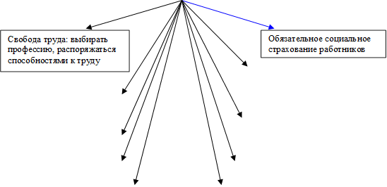Обязательное социальное страхование работников,Свобода труда: выбирать профессию, распоряжаться способностями к труду