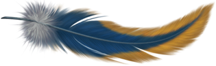 http://img0.liveinternet.ru/images/attach/c/1/55/337/55337937_cd37688cae7a.png