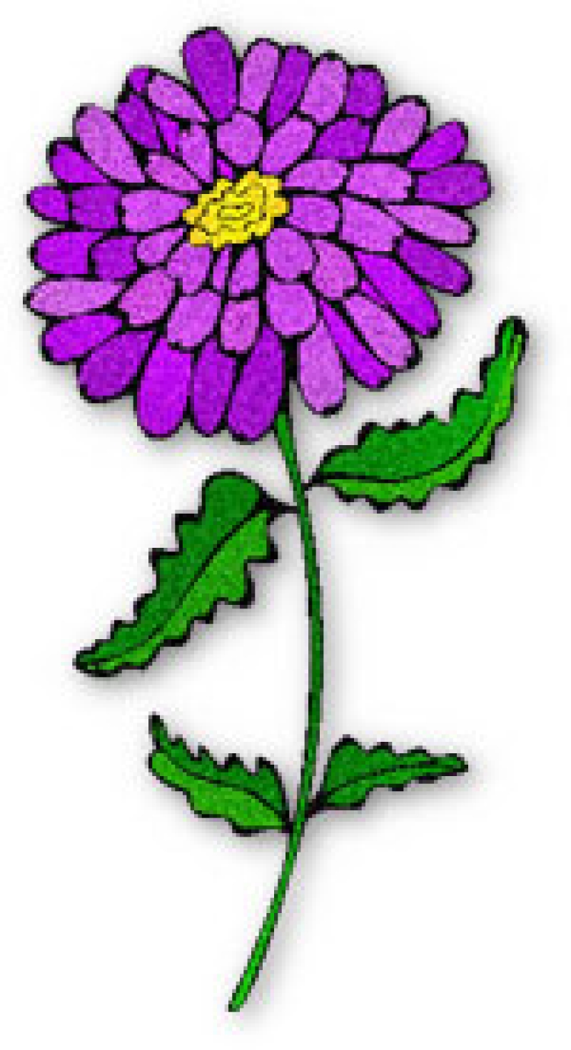 http://a2b2.ru/storage/images/kindergardens/9135/teachers/15468/15468_main_flower-clip-art-328231.jpeg