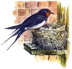 сканирование0030