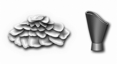 https://img.wikireading.ru/167978_19_i_009.png