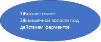 1)Внеклеточное
2)В кишечной полости под действием ферментов
