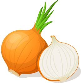 https://media.istockphoto.com/vectors/onion-isolated-on-white-vector-illustration-vector-id517865590?k=6&m=517865590&s=612x612&w=0&h=WyuN3rJqHsTNRpKJMt7ySIxAjaWPVoSL5cvZfEpLmUM=