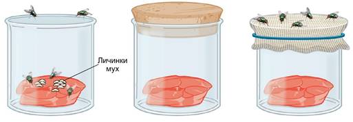 http://profil.adu.by/pluginfile.php/4375/mod_book/chapter/12175/43.1.jpg?time=1620237676626