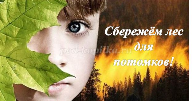 https://ped-kopilka.ru/upload/blogs2/2016/7/38022_b1d675dfd935ee5f9b5d2821bd4bd293.png.jpg