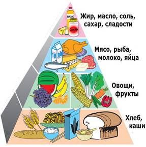 как правильно питаться 