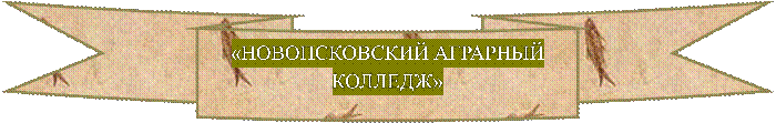 «НОВОПСКОВСКИЙ АГРАРНЫЙ КОЛЛЕДЖ»

