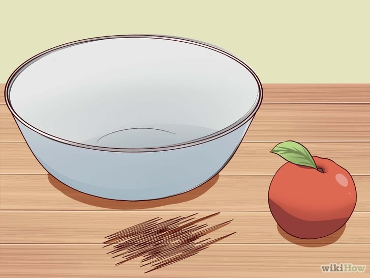 Изображение с названием Build 3D Models of Animal and Plant Cells Step 5