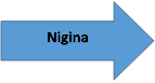 Nigina