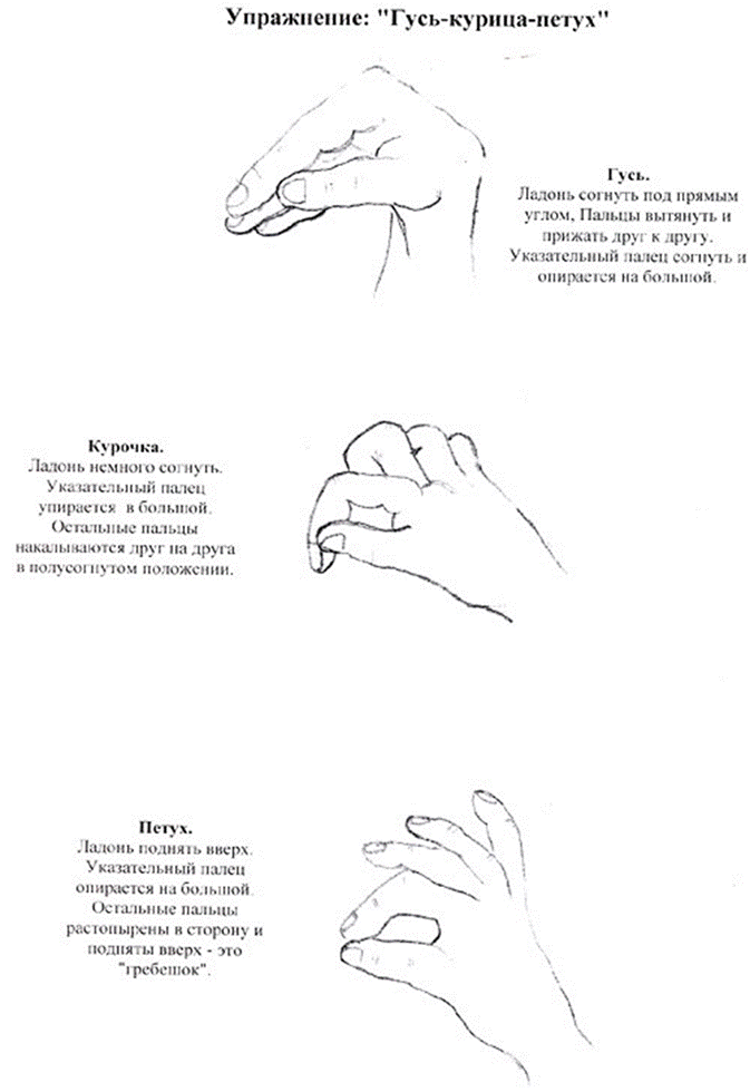 https://fsd.multiurok.ru/html/2019/04/09/s_5caca42603f96/1135545_11.png