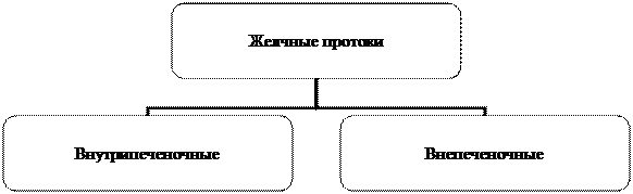 Организационная диаграмма