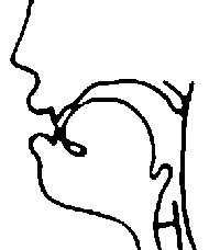 http://www.otoskop.ru/rus/wp-content/uploads/2003/06/f.gif