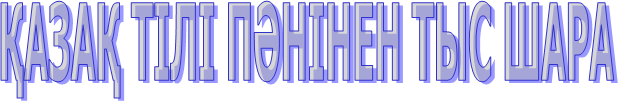 ҚАЗАҚ ТІЛІ ПӘНІНЕН ТЫС ШАРА 