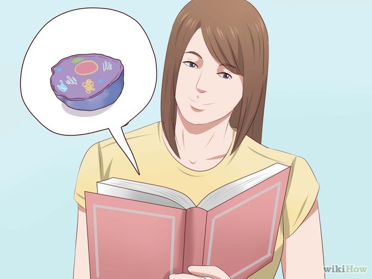 Изображение с названием Build 3D Models of Animal and Plant Cells Step 1