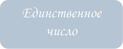Единственное число