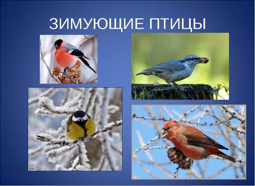 https://ds02.infourok.ru/uploads/ex/071f/0004fca6-dae5942e/hello_html_m48a85957.jpg