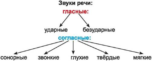 Русский язык - 5