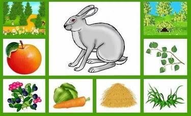 https://avatars.mds.yandex.net/get-pdb/1953170/db32e6da-ea76-4e4e-bf8f-40f12ea887d8/s1200