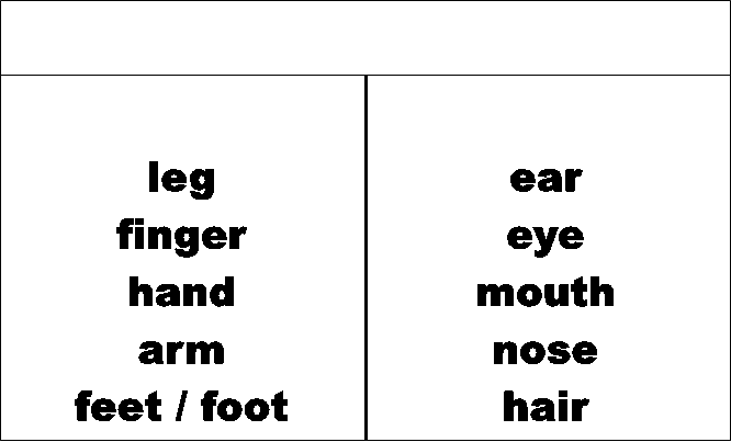 leg
finger
hand 
arm 
feet / foot
,ear 
eye
mouth
nose
hair
