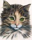 https://avatars.mds.yandex.net/i?id=be8098a3e7182cf470bc6a54cecb11509912b00e-5179059-images-thumbs&n=13