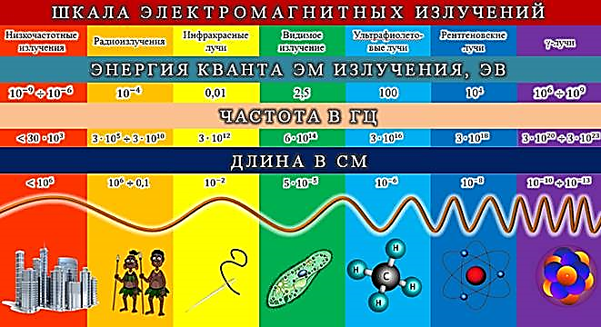 https://fsd.videouroki.net/products/conspekty/fizika11/36-vidy-izluchienii-shkala-eliektromaghnitnykh-voln.files/image007.jpg
