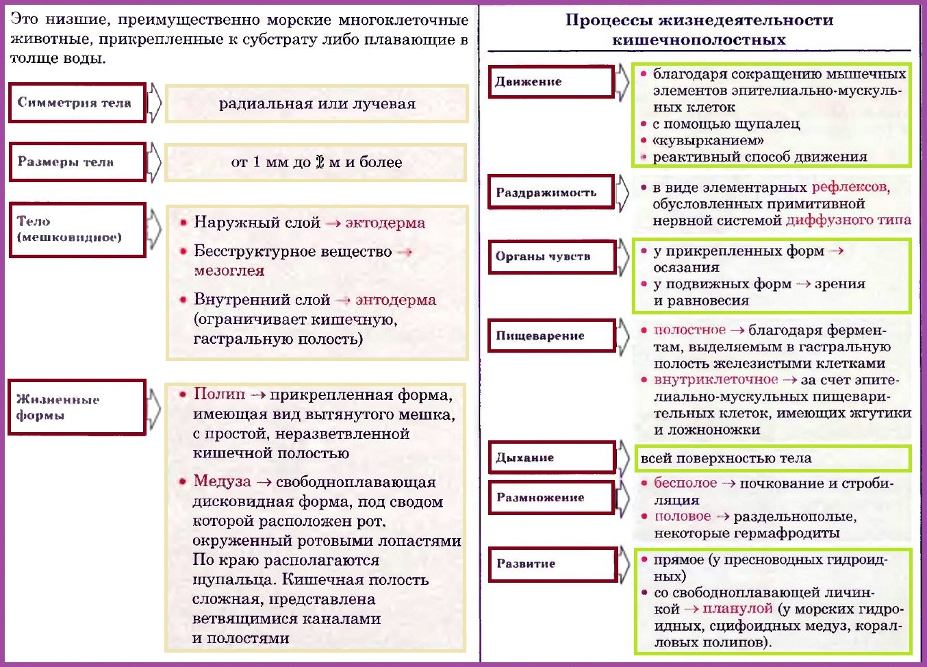 Таблица кишечнополостные 7. Таблица многоклеточных животных. Сравнительная характеристика многоклеточных. Многоклеточные животные таблица. Характеристика многоклеточных животных.