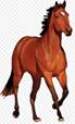 https://img2.freepng.ru/20190626/gpq/kisspng-american-paint-horse-mustang-american-indian-horse-5d134d2b3aece0.6016160215615460272414.jpg