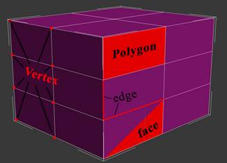 Polygon model